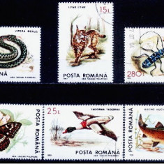 C1132 - Romania 1993 - Fauna 6v..stampilat,serie completa