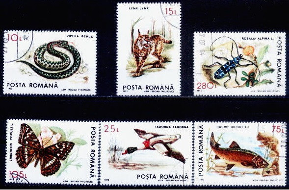 C1132 - Romania 1993 - Fauna 6v..stampilat,serie completa