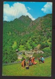 CPIB 22354 - CARTE POSTALA - MUNTII COZIEI SI MANASTIREA STANISOARA
