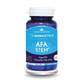Afa Stem, 60cps, Herbagetica