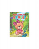 Colorăm ursuleți - Paperback - Erc Press