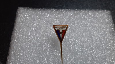 insigna Minerul Anina foto