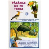 Iordache Ion, Constantin Ion si Boris Craciun - Pasarile de pe Terra - Enciclopedie scolara din serialul Planeta Animalelor - 11