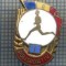 AX 809 INSIGNA -POLISPORTIV -LOCUL I -PENTRU COLECTIONARI