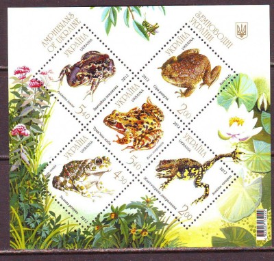 !!! UCRAINA - AMFIBIENI / FAUNA 2012 - BLOC NECIRCULAT foto