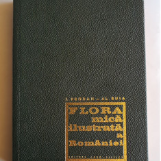 Flora mică ilustrată a României - I. Prodan, Al. Buia