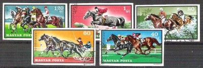 Hungary 1971 Horse, IMPERFORATE, used U.013 foto