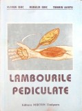 LAMBOURILE PEDICULATE. CAIET DE CHIRURGIE PLASTICA VOL.2-FLORIN ISAC, AURELIA ISAC, TIBERIU BRATU-263940