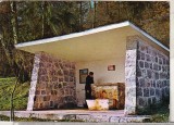 Bnk cp Malnas - Izvor de apa minerala - circulata - marca fixa, Printata, Covasna