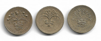 Anglia/Marea Britanie - POUND 1984, 1985, 1991 - set 3 monede foto