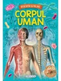 Cumpara ieftin Descopar si ma joc. Corpul uman/***