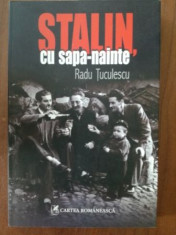 Stalin, cu sapa-nainte- Radu Tuculescu foto