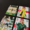 Set complet de cartonase extra Irlanda de Nord din colectia Panini Adr Euro 2020