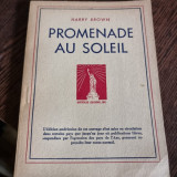 Harry Brown - Promenade au Soleil