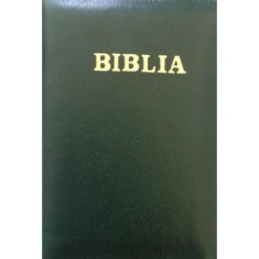 Biblia de studiu pentru copii. Coperta piele bleumarin, LPI143