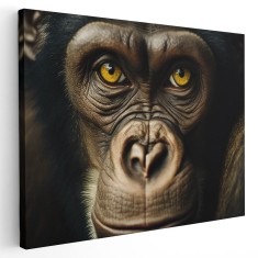 Tablou canvas portret maimuta gorila, maro, galben 1239 Tablou canvas pe panza CU RAMA 20x30 cm