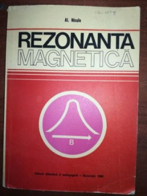 Rezonanta magnetica- Al. Nicula foto