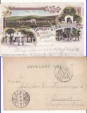 Bogda, Bogda Rigos (Timis) -Colaj, litografie 1901 - rara, Circulata, Printata