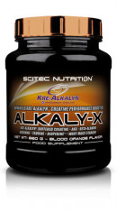 Scitec Nutrition Alkaly-X, 660 g foto