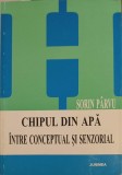 CHIPUL DIN APA INTRE CONCEPTUAL SI SENZORIAL-SORIN PARVU