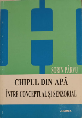 CHIPUL DIN APA INTRE CONCEPTUAL SI SENZORIAL-SORIN PARVU foto