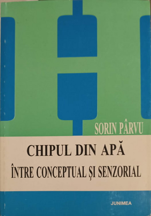 CHIPUL DIN APA INTRE CONCEPTUAL SI SENZORIAL-SORIN PARVU-246495