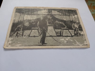 Fotografie circ foto