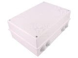 Cutie conexiuni ABS ELEKTRO-PLAST NASIELSK EP-LUX IP55 Montare perete 214x303x123mm