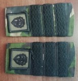 C3 - Grade militare - mozaic padure - plutonier adjutant logistica