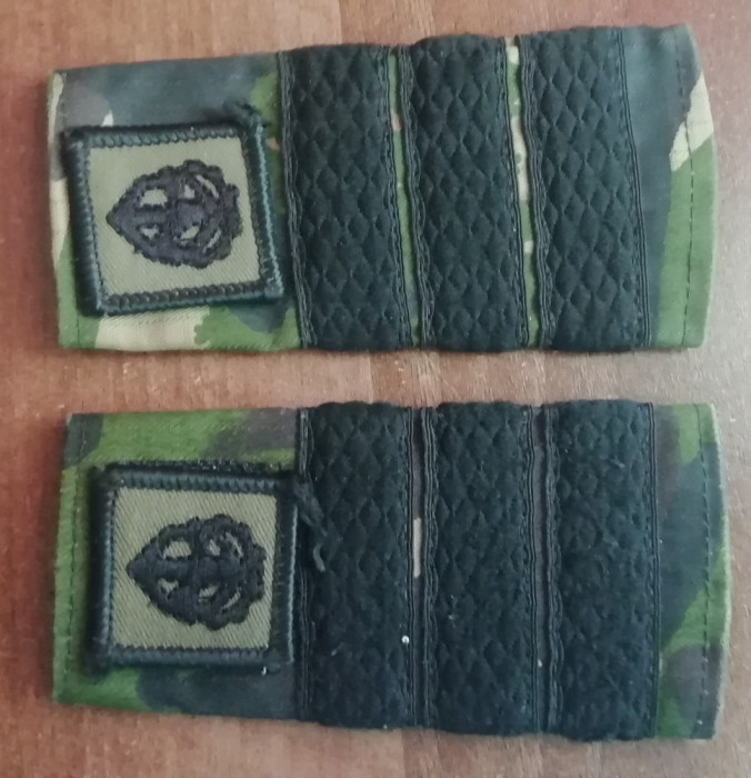 C3 - Grade militare - mozaic padure - plutonier adjutant logistica