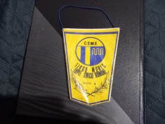 Fanion CSM Electromures Tg. Mures