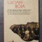 Lucian Boia - &bdquo;Germanofilii&rdquo;. Elita intelectuală rom&acirc;nească &icirc;n anii primului...