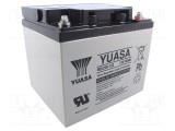 Acumulator YUASA plumb-acid 12V 50Ah AGM fără &icirc;ntreținere