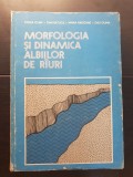 Morfologia și dinamica albiilor de r&acirc;uri - Ioniță Ichim, Dan Bătucă, Maria Rădoane, Didi Duma (foarte rară!)