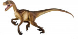 Figurina - Velociraptor | Safari