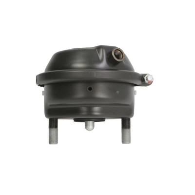 Camera de franare disc T20 EBS foto