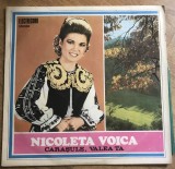 Vinil(5) Nicoleta Voica