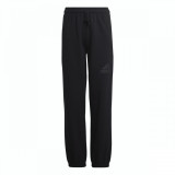 Pantaloni de trening adidas U FI LOGO PT