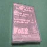 CASETA AUDIO DE PETRECERE PETRECEREA LA ROMANI VOL 2 CEVA RAR !!!! DE TARABA