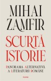 Scurta istorie. Panorama alternativa a literaturii romane, Mihai Zamfir