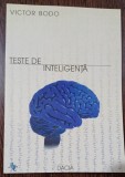Teste de inteligenta - Victor Bodo