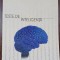 Teste de inteligenta - Victor Bodo