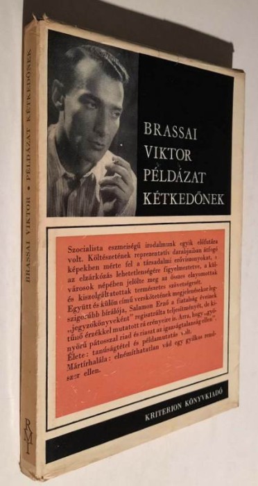 Peldazat ketkedonek ____ Versek, muforditasok - Brassai Viktor