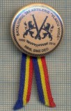 Insigna Militara Batalionul 285 Artilerie VLAICU VODA 1995-2015, Colectie Artilerie Militara