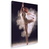Tablou dansatoare, nor de praf alb 2036 Tablou canvas pe panza CU RAMA 80x120 cm