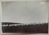 Stana de oi in Carpatii Orientali, zona Bicaz// Foto Tr. Zaharie 1926
