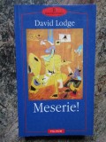 MESERIE! - DAVID LODGE