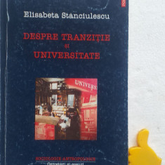 Despre tranzitie si universitate Elisabeta Stanciulescu