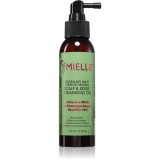 Mielle Rosemary Mint Scalp &amp; Edge Cleansing Oi ulei de curatare pentru păr 118 ml