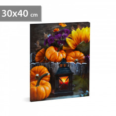 Tablou cu LED-uri de Halloween - agățat pe perete, 2 x AA, 30 x 40 cm